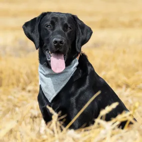 Bandana In Inchmurrin Iceberg by Lords & Labradors