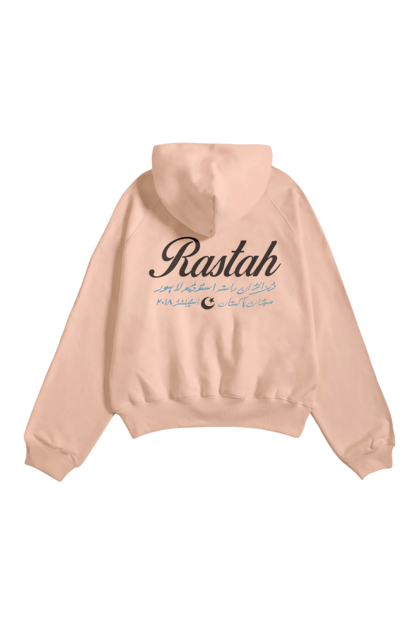 BEIGE MADE IN PAK HOODIE (V4)