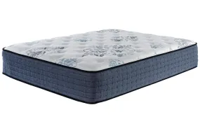 Bonita Springs Firm Queen Mattress
