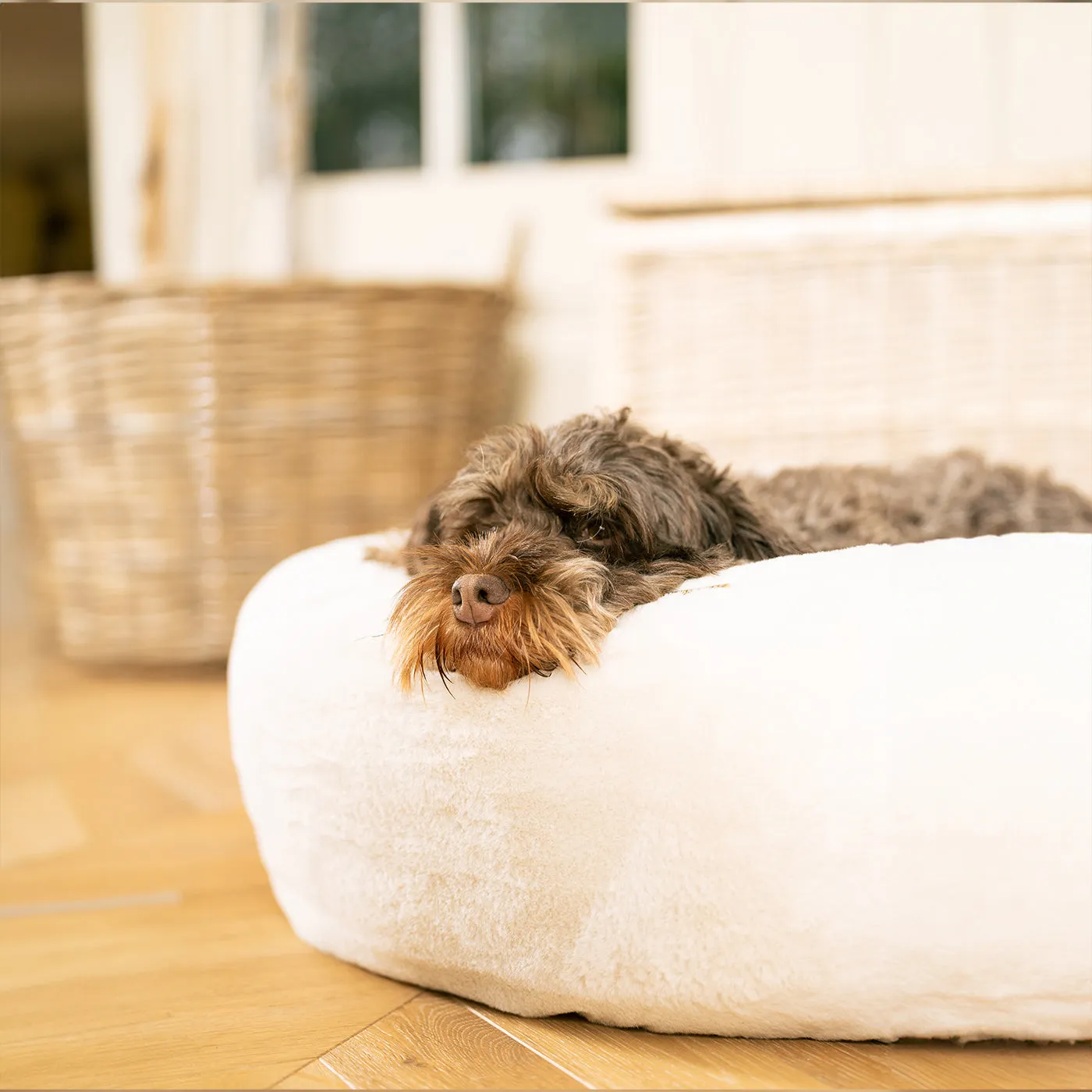 Calming Anti-Anxiety Donut Bed in Cream Faux Fur by Lords & Labradors