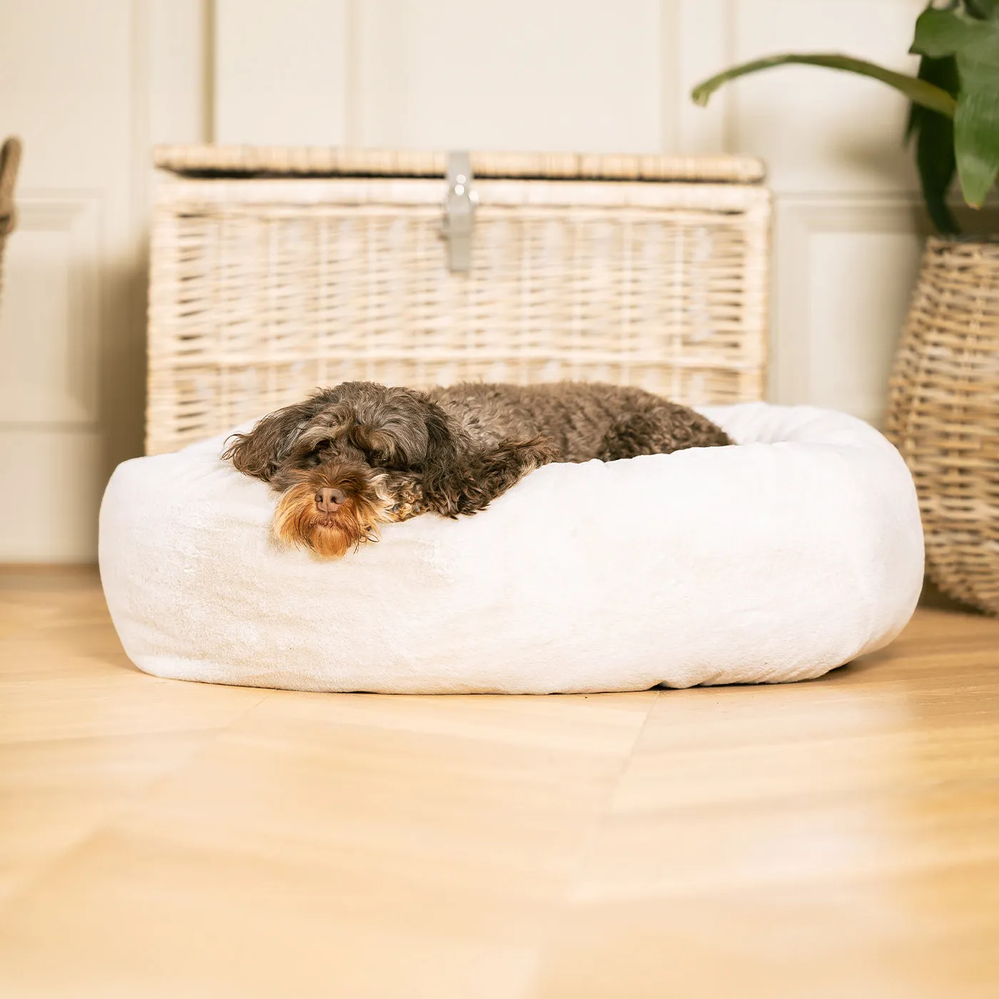 Calming Anti-Anxiety Donut Bed in Cream Faux Fur by Lords & Labradors