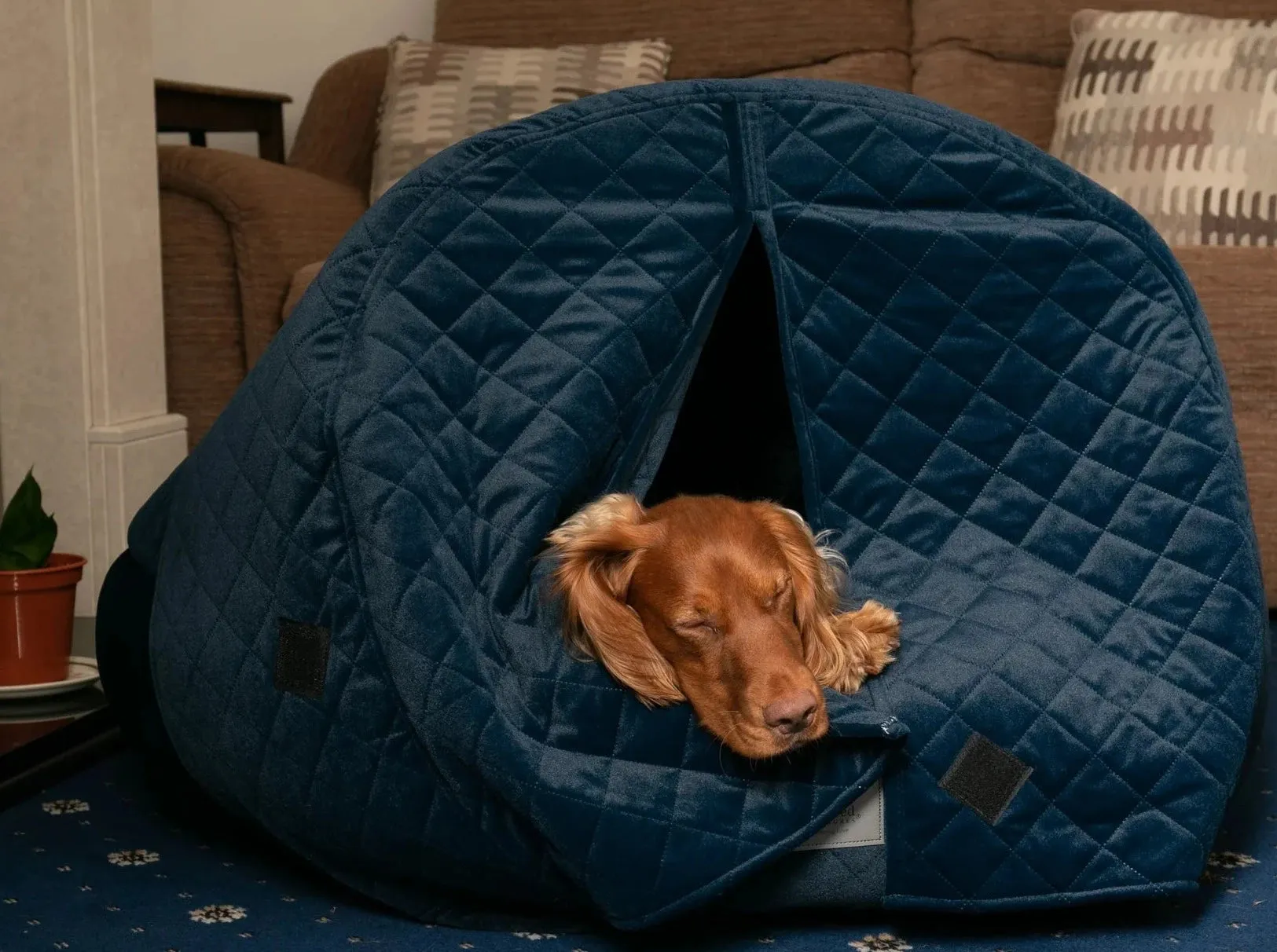 Deluxe Cocoon Quilted Hood Velour Bed
