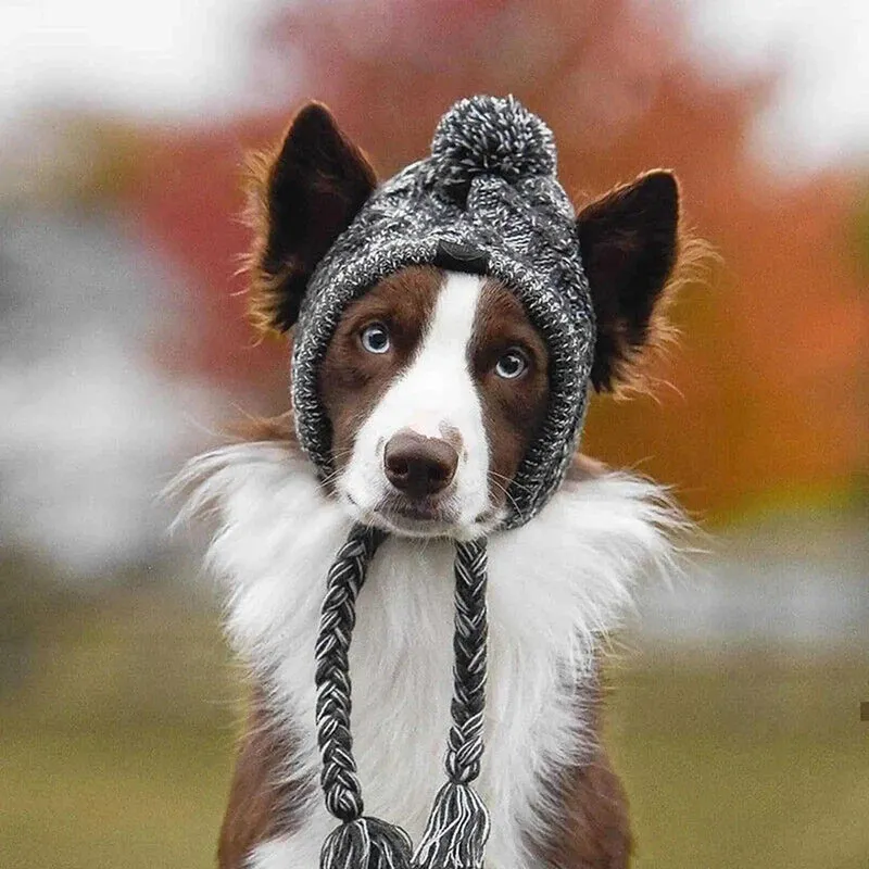 Knitted Dog Hat with Pom Pom