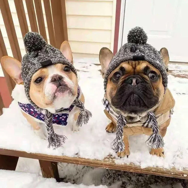 Knitted Dog Hat with Pom Pom