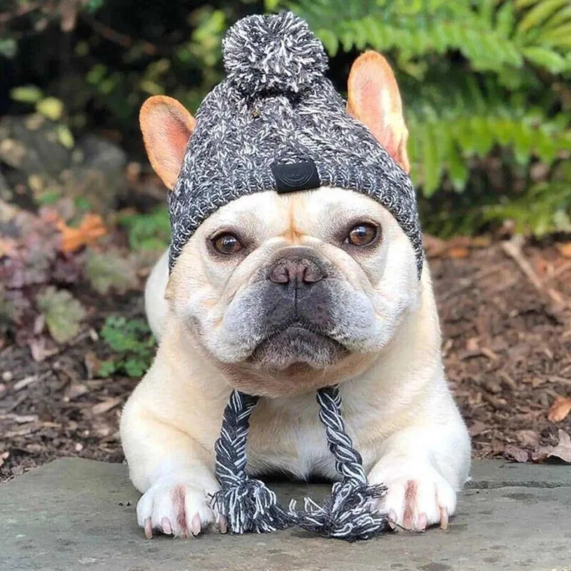 Knitted Dog Hat with Pom Pom