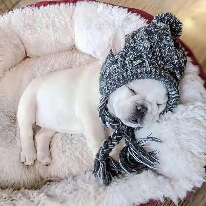 Knitted Dog Hat with Pom Pom