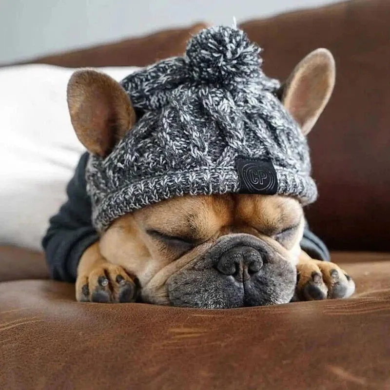 Knitted Dog Hat with Pom Pom