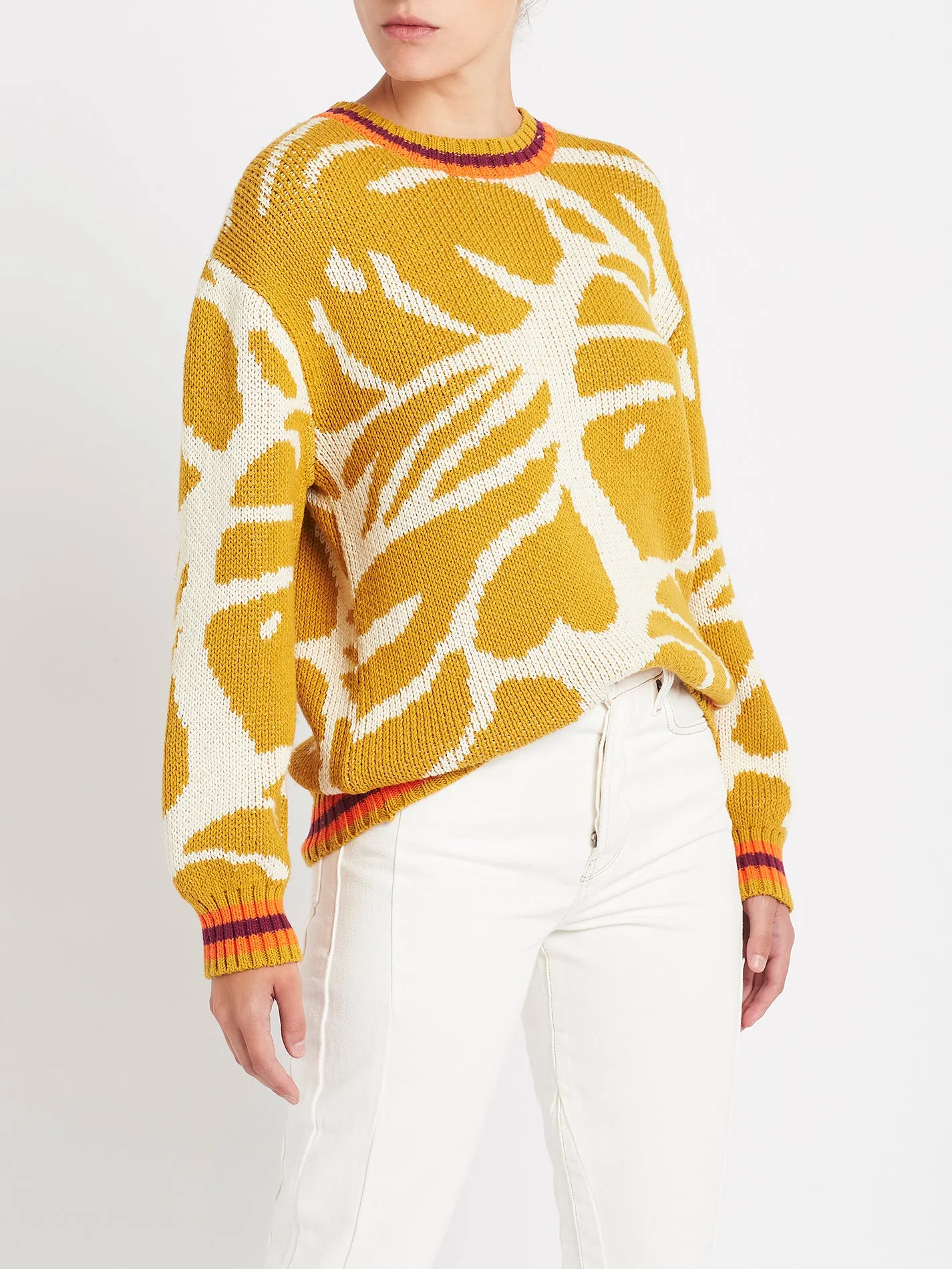 The Jumper